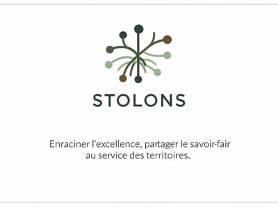 Logo Stolons